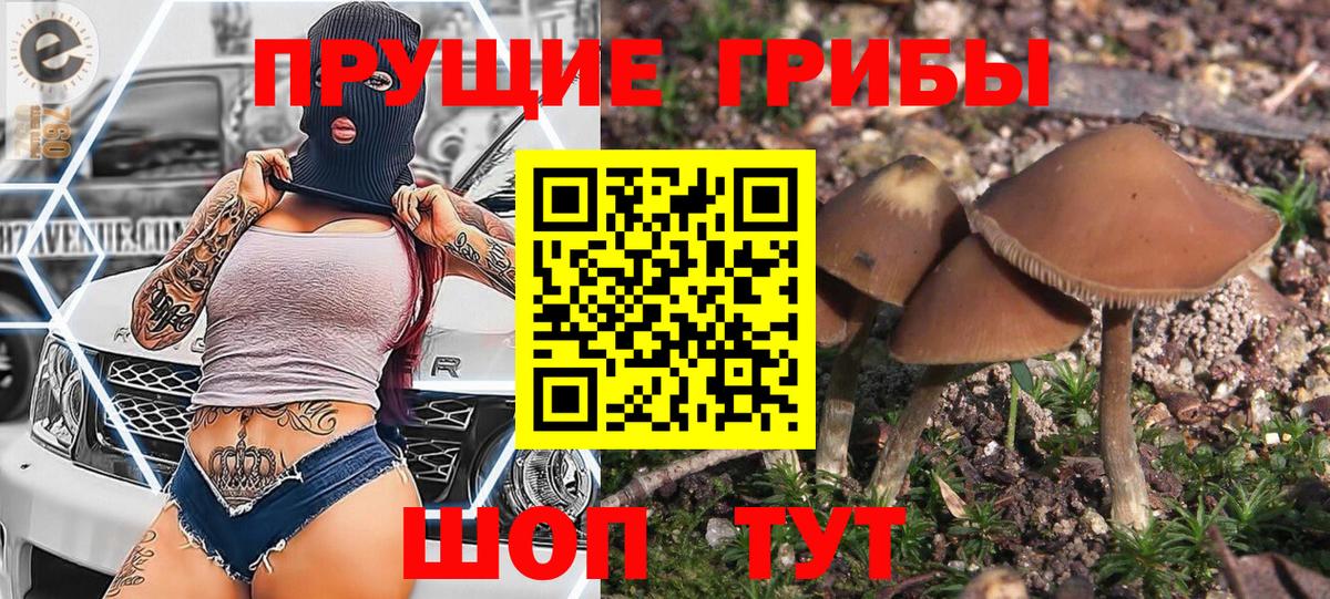 Галлюциногенные грибы мицелий Железногорск