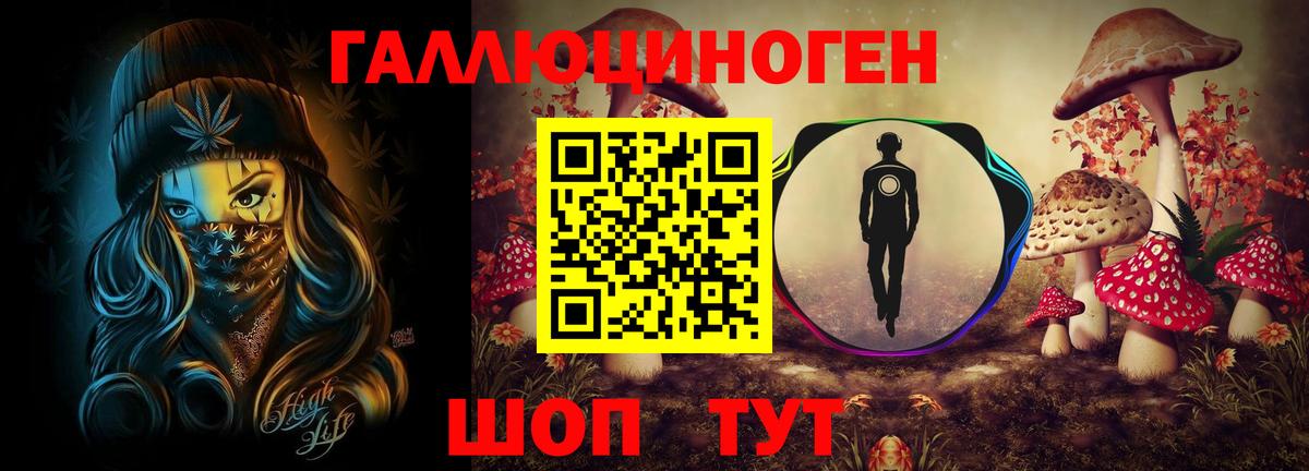 сколько стоит  Псилоцибиновые грибы прущие грибы  Вход с VPN  Железногорск  Псилоцибиновые грибы Cubensis 